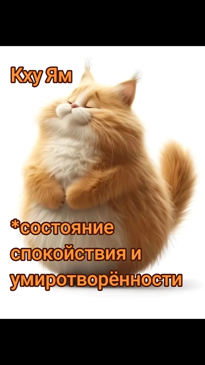 Ledlu in LOOKY. . Настроение просто та...
