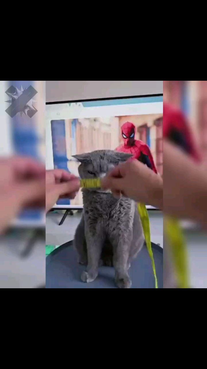 ГО ХАРД в LOOKY — публикация