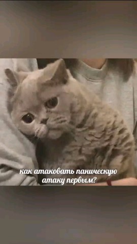 Федорова Александра