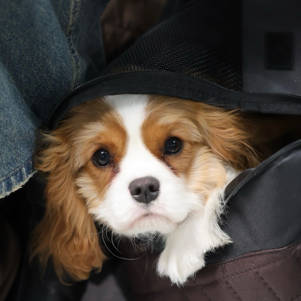 Светлана в LOOKY. . 