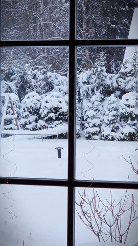 Fluffy_347 в LOOKY. #сновымгодом,#отдых. Как же красиво 🥰❄️❄...