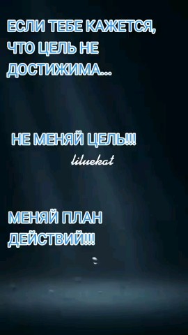ВОЛК СЕРЫЙ в LOOKY — публикация