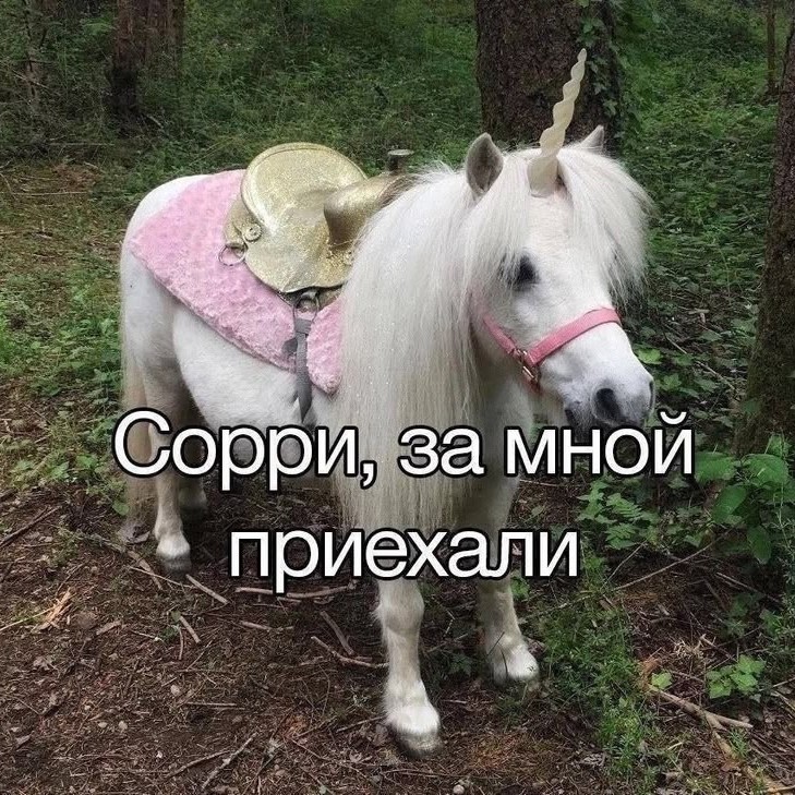 Darsiii