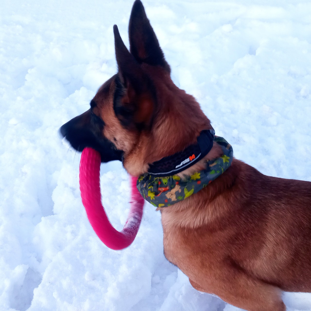 laivelis в LOOKY — Безконечные догонялки
#малинуа
