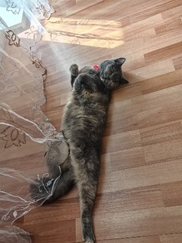bavani3028 в LOOKY. . Мамина плюшечка 🥰