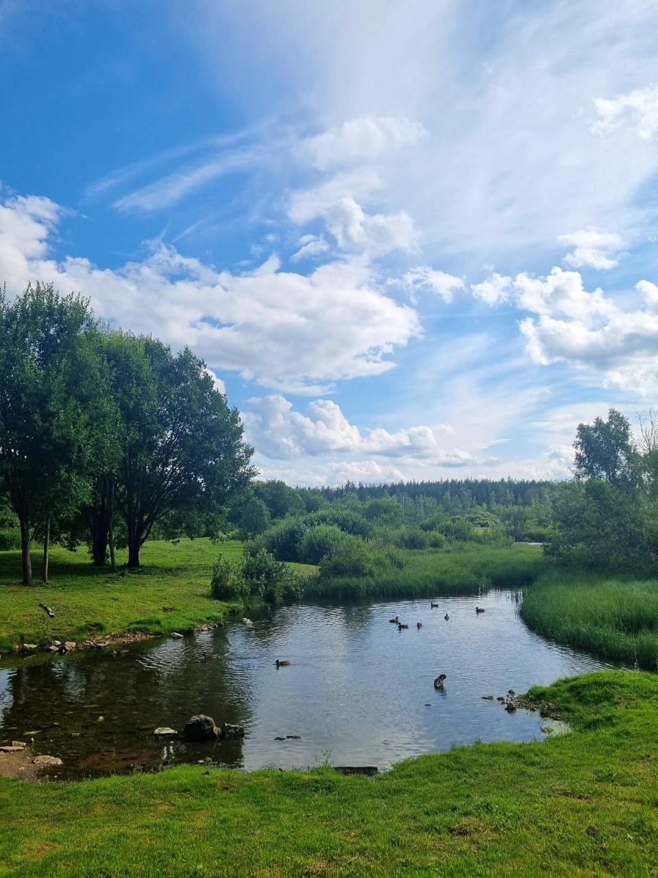 До свидания, июль..
#лето #природа