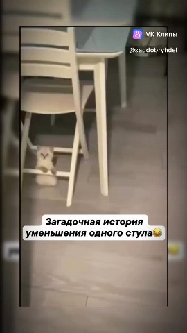Looky_175351960531773 в LOOKY. #Время. #Время