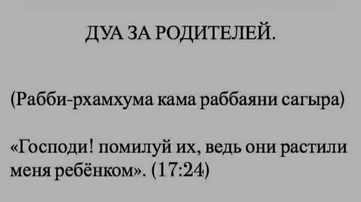 salavatatangulov