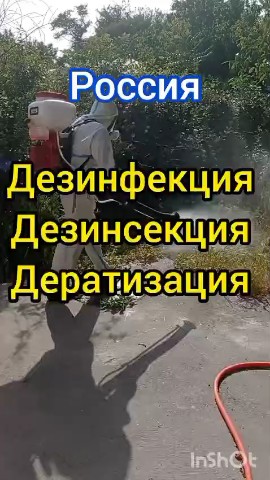Dez_spb в LOOKY. . [#дезинфекция ](дези...