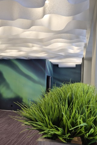 fitodecor в LOOKY. . Грамотное освещение,...