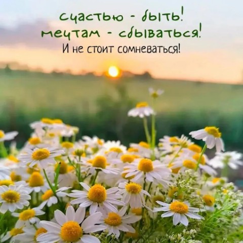 Наталья в LOOKY. . 