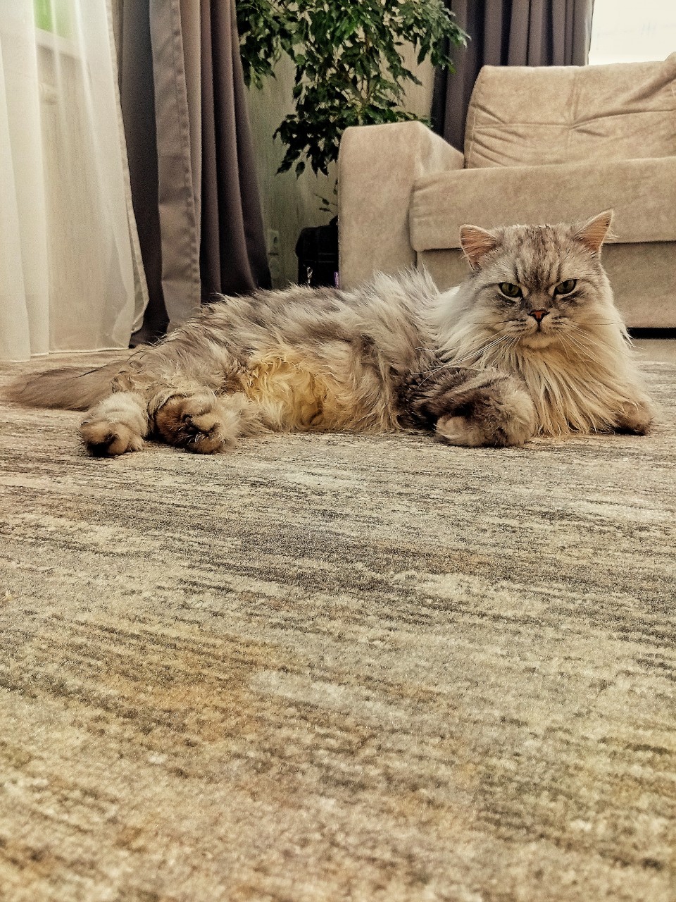 darenka_little в LOOKY. . Тебе нравится с ним ...