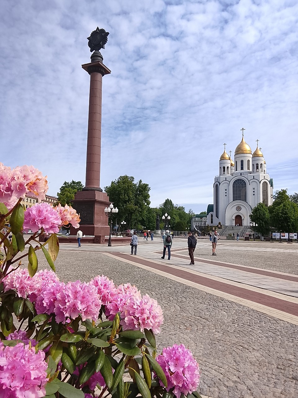 Катя Travel в LOOKY — фото 1