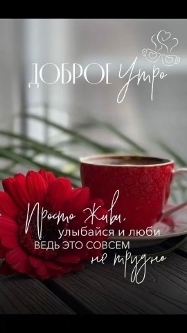 kovrigin_looky в LOOKY. . 🎶