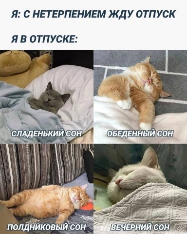 No funny - no money в LOOKY. . 