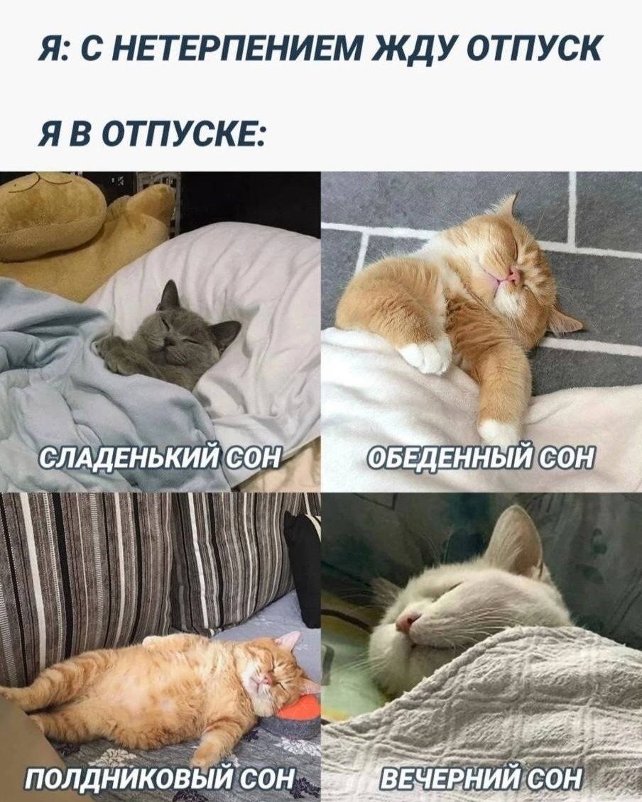 No funny - no money в LOOKY — публикация