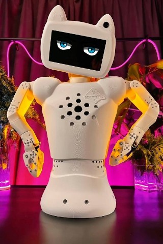CRAZYBOTS в LOOKY. . 