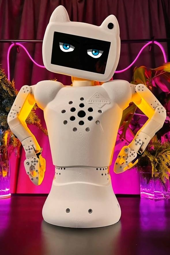 crazybots_official в LOOKY — публикация