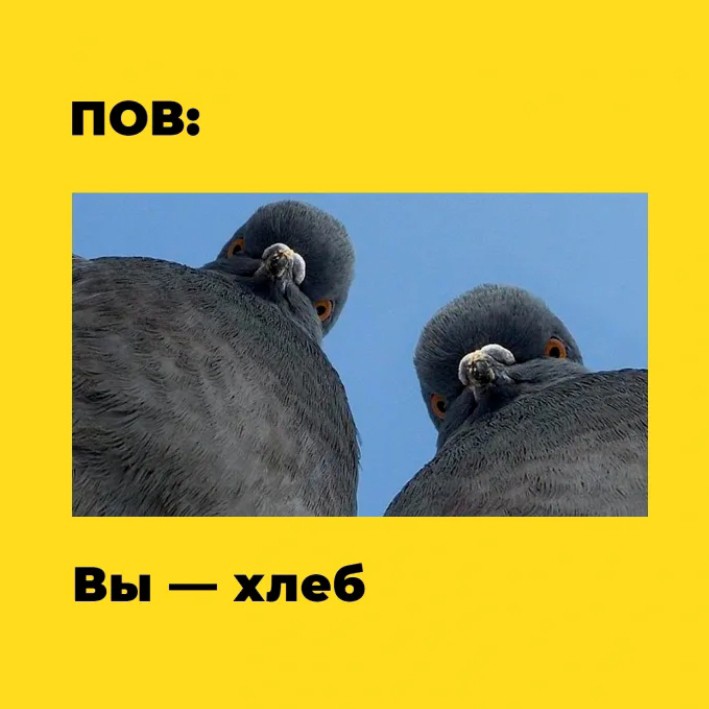 softik_debil в LOOKY — публикация