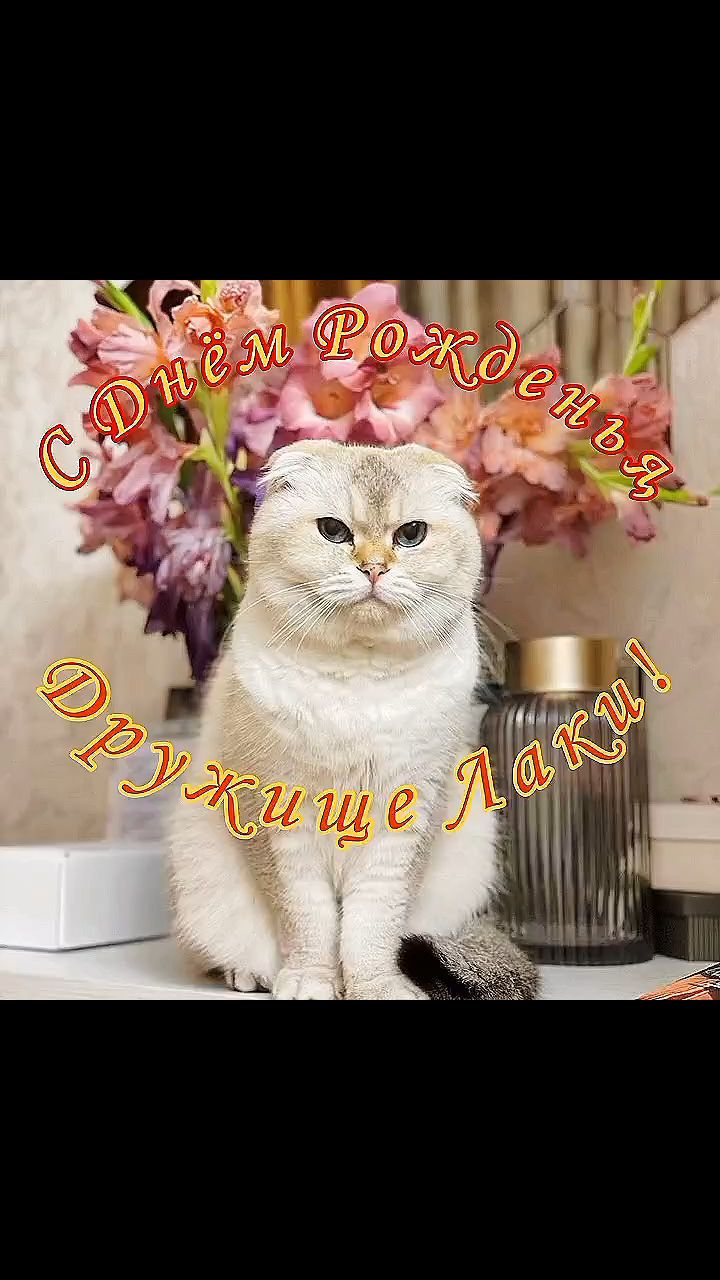 pserge61 в LOOKY — <<С ДНЁМ РОЖДЕНИЯ ДРУЖИЩЕ, ЛАКИ!>>
***
Пусть всё отлично сло