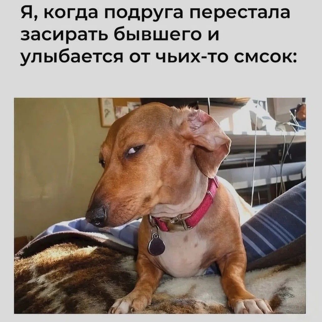 мемная комната в LOOKY — публикация