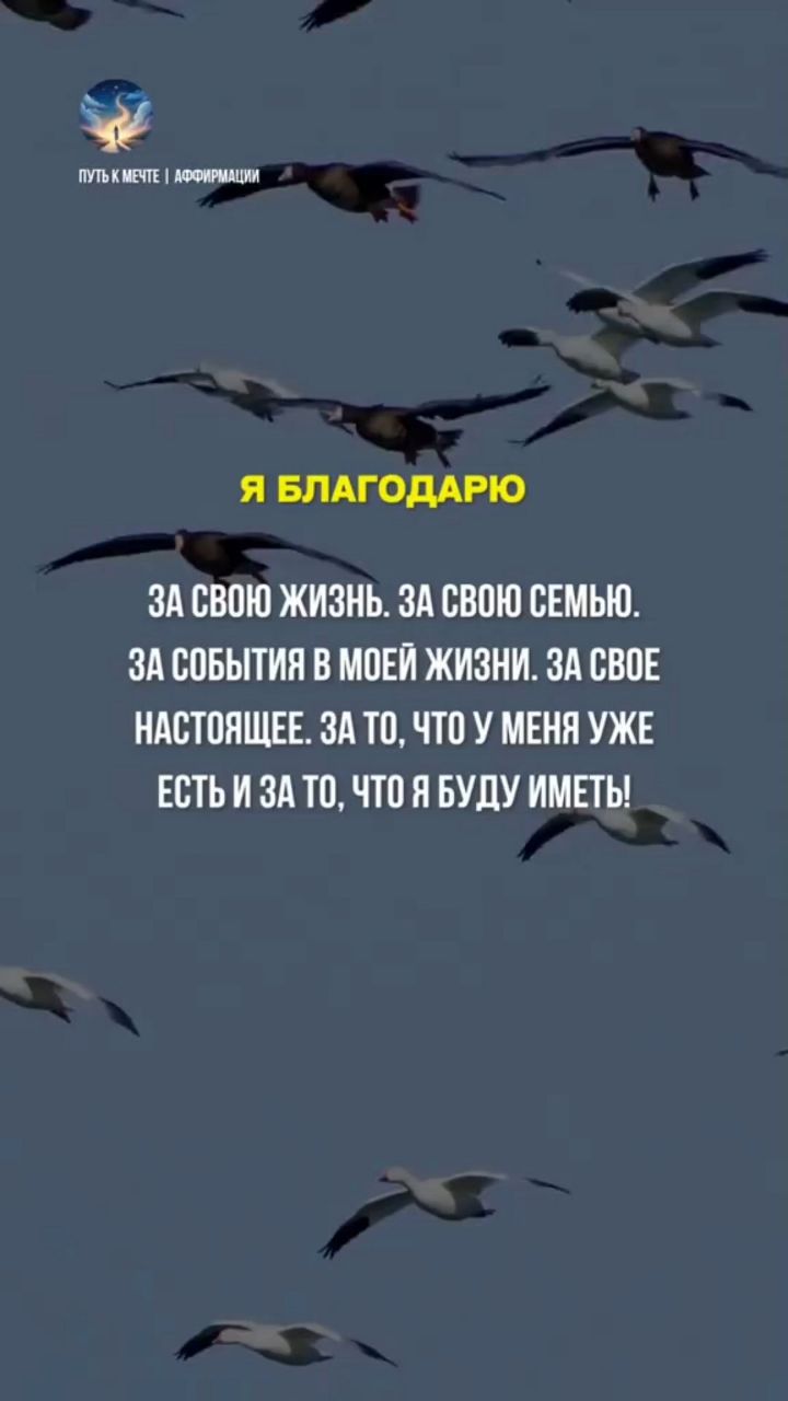 Lucia74 в LOOKY. . Пассив.