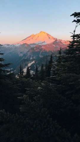 TOPMUSIC в LOOKY. #afterglow,#highland,#larch,#mountain,#naturallandscape,#sky,#slope,#sunrise,#sunset,#tree,#восход,#гора,#дерево,#закат,#лиственница,#небо,#послесвечение,#природныйландшафт,#склон,#хайленд. #afterglow #highland...