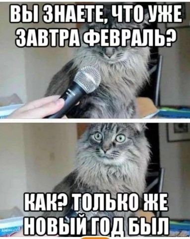 guselnik.irina в LOOKY. #верьвсебя. #верьвсебя