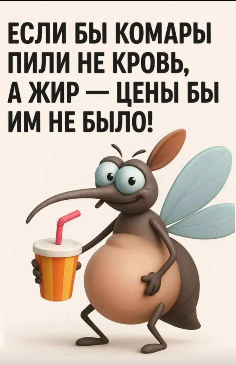 Looky_1680944639316 в LOOKY — публикация