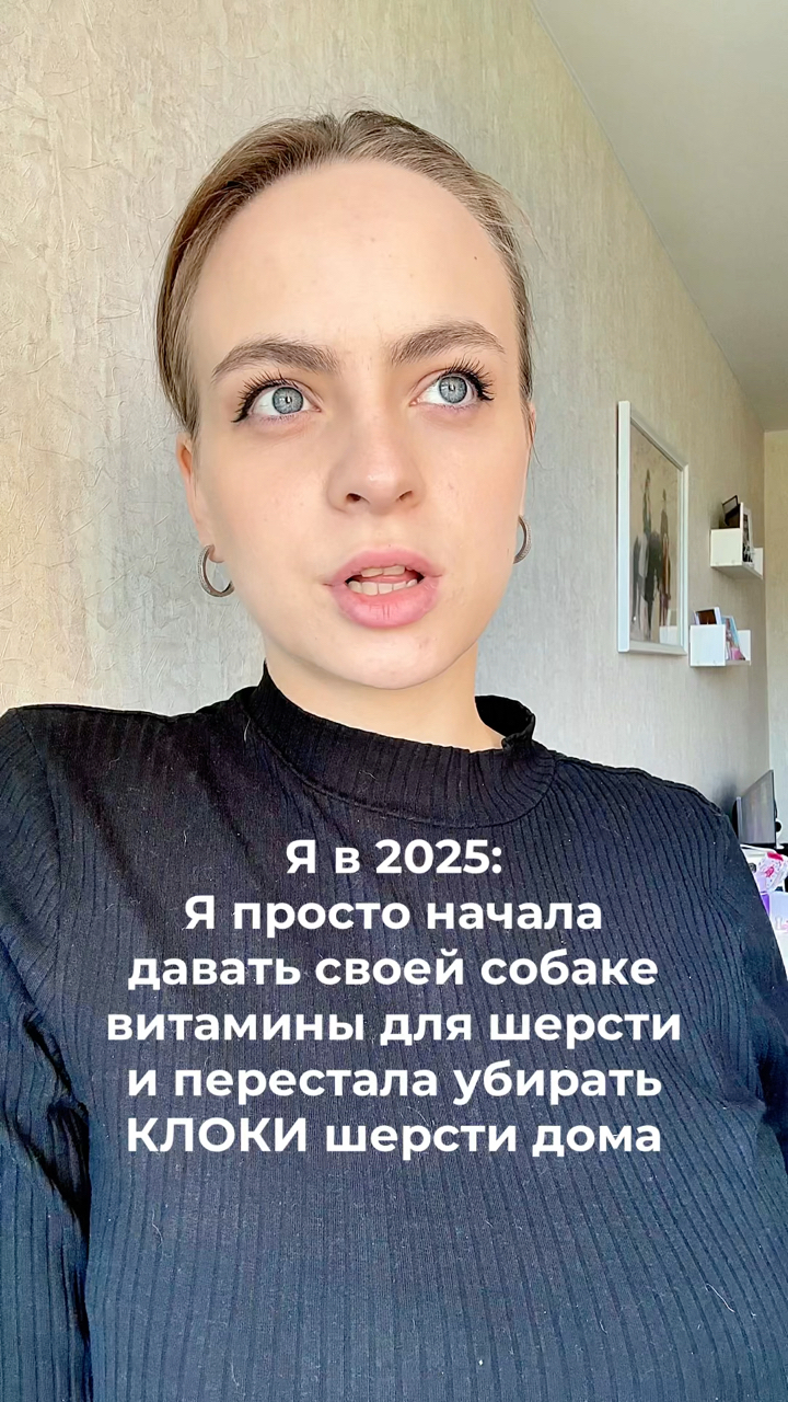 На связи лабрадор Бен-Бен в LOOKY. #150253274,#собака. Витамины для шерсти ...