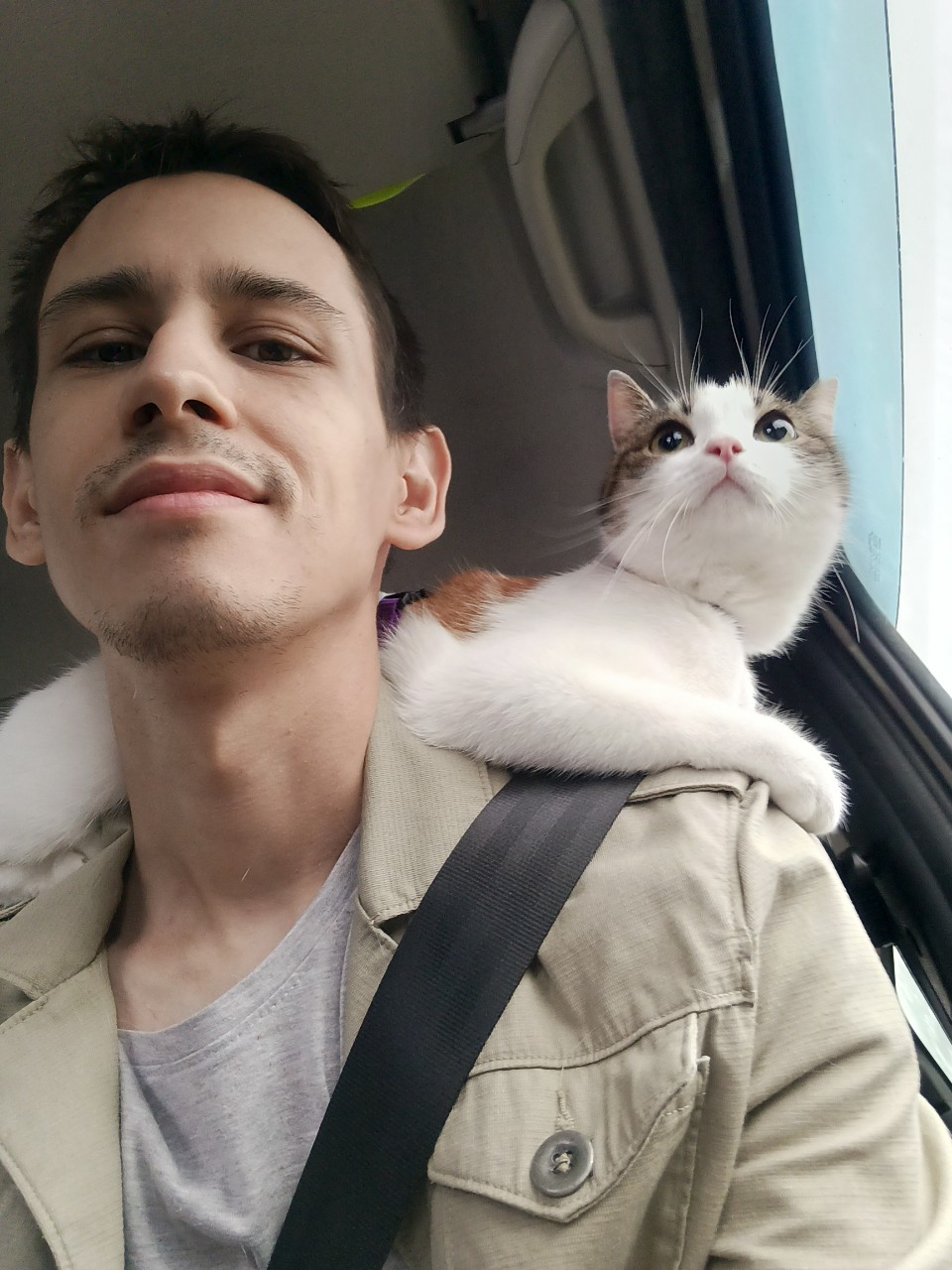  в LOOKY — 🏙️🚘🐈🏡 [#cat ](cat)