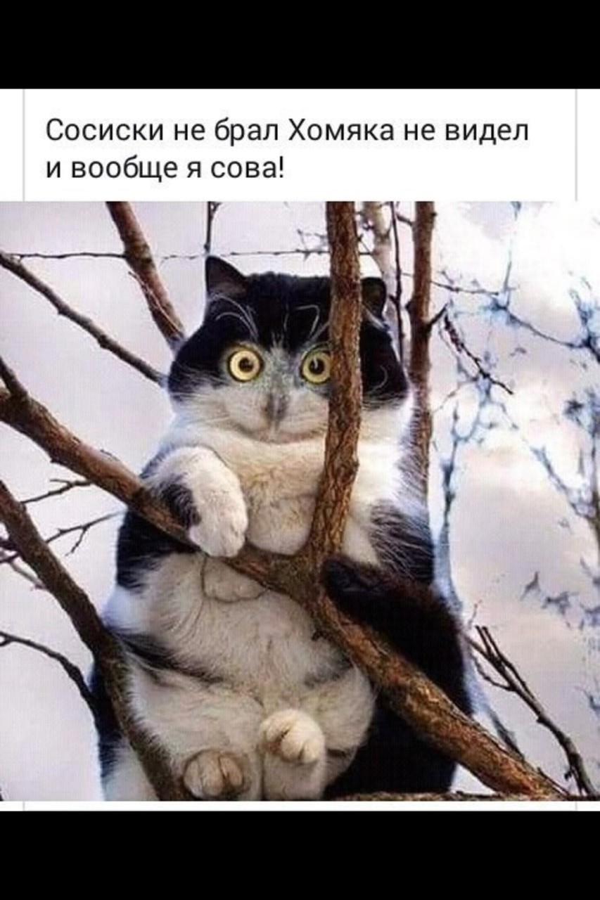Алекс1958