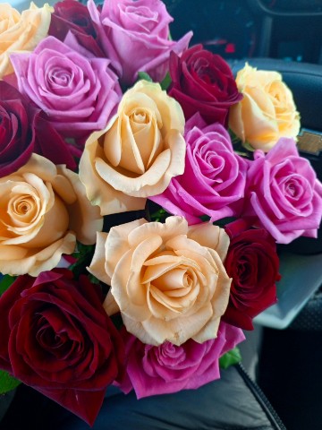 mari.cmok__te9ps1k в LOOKY. . 