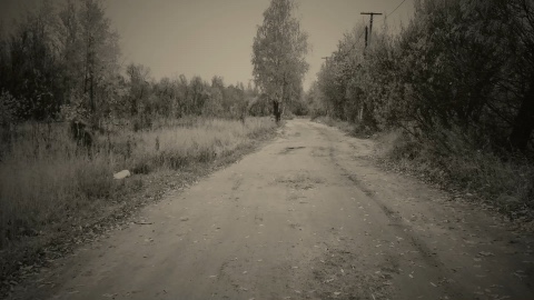 Darkfox86 в LOOKY. #видео. #видео