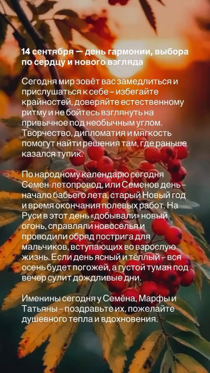 valkarat в LOOKY — публикация