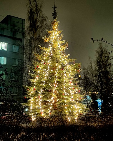 malina_azurlina в LOOKY. . Зачем так рано такую...