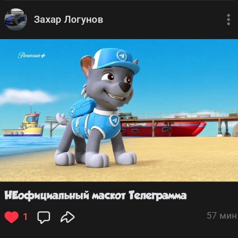 dimonchik064 в LOOKY. . Фанат «Щенячьего пат...