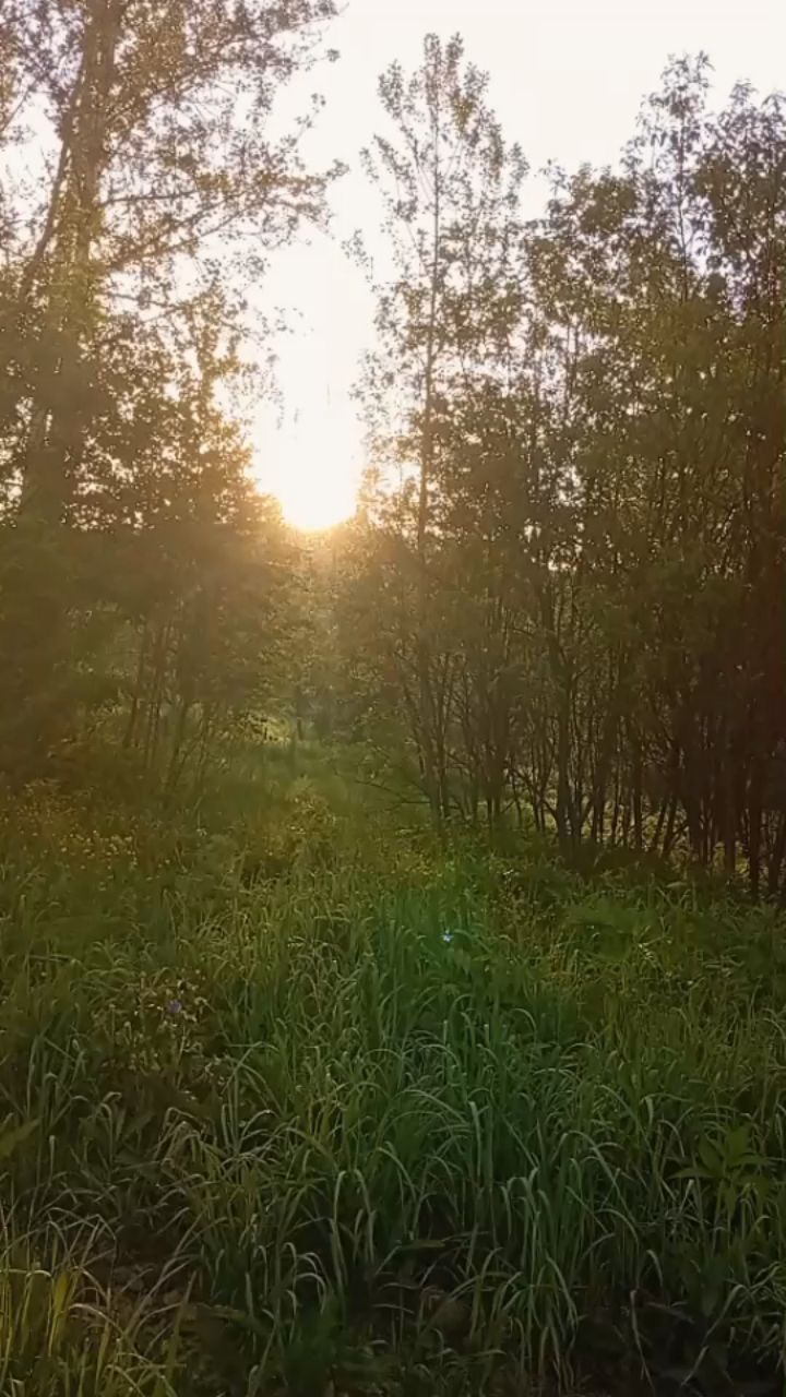 Ольга Юминова в LOOKY. . [#открываюмир ](откр...