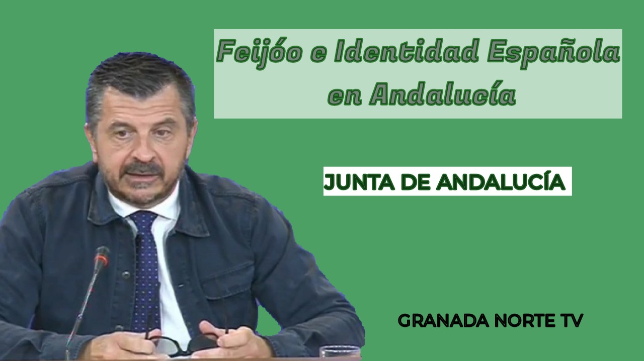 GRANADA NORTE TV в LOOKY — Análisis desde Andalucía: Feijóo y su impacto en la Identida