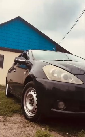 Солнечный Снегопад in LOOKY. . 