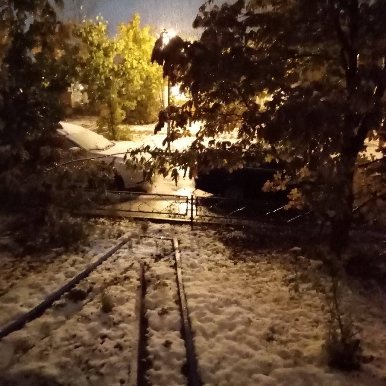 Первый день занятий и первый день снега.