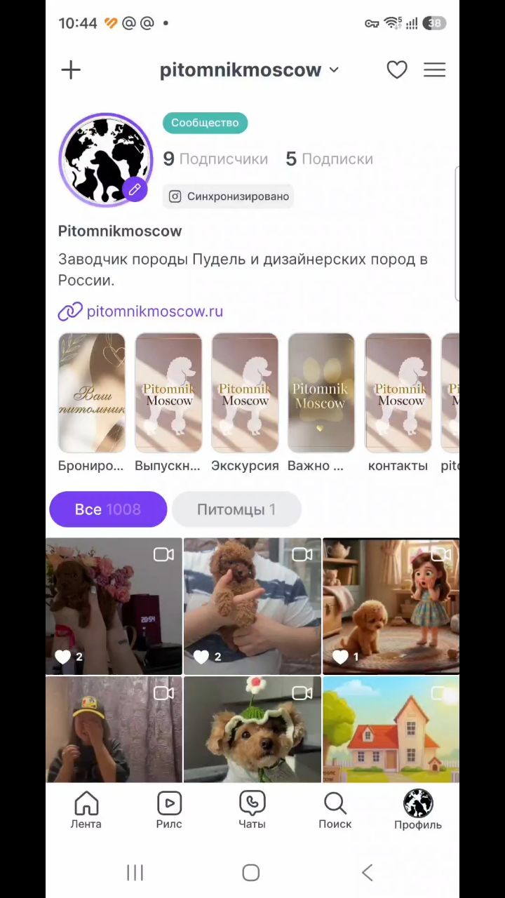 pitomnikmoscow в LOOKY. . Наша социальная сеть