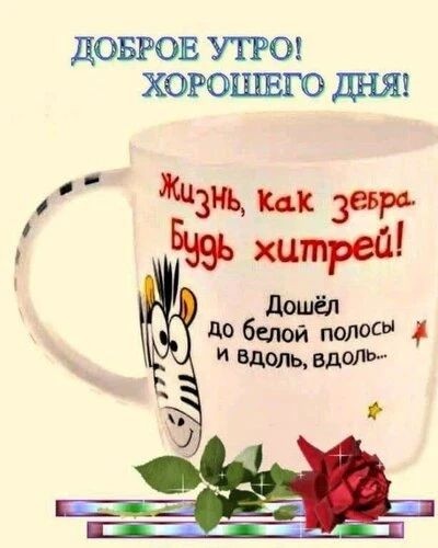 Olika_Draggon в LOOKY — Всем доброго утречка!!!
Пусть жизнь играет яркими красками!!