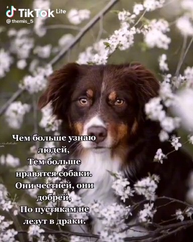 Looky_1689564190874 в LOOKY. . 