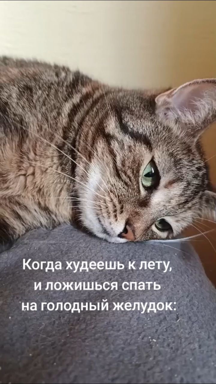 Looky_177001934280610 в LOOKY. . 