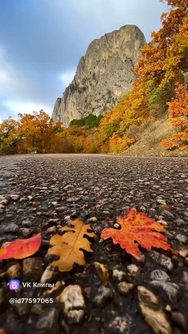Наталья Пелюх в LOOKY. . Красоту Крымской осе...