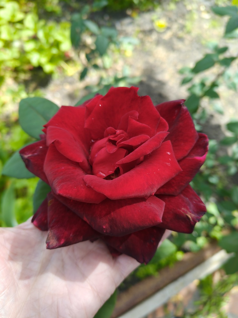 Sekret_Natali в LOOKY — фото 10