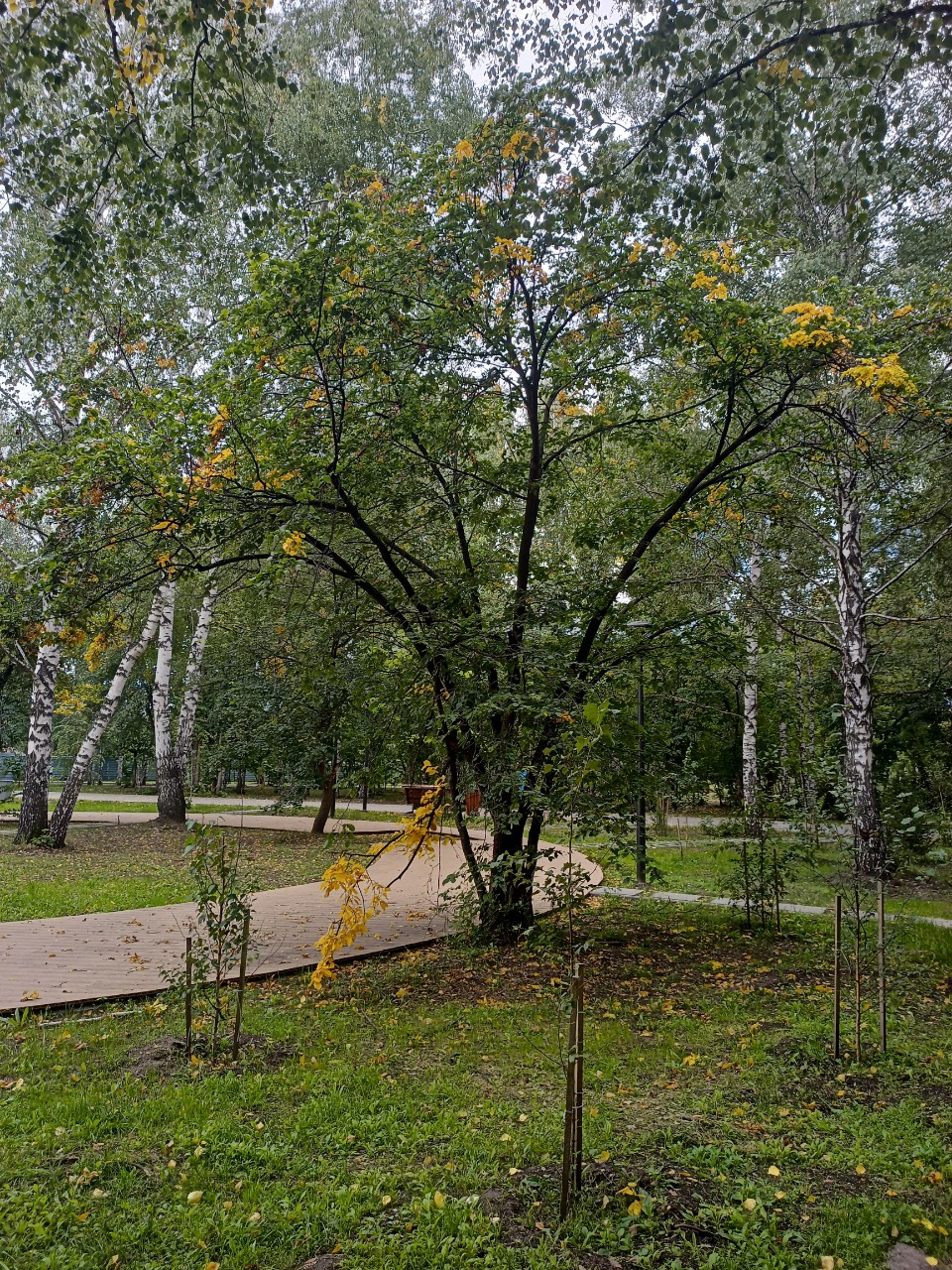 Katerina-priroda