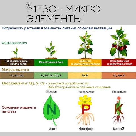 starskara в LOOKY. . Часть 2.  Микро и ме...