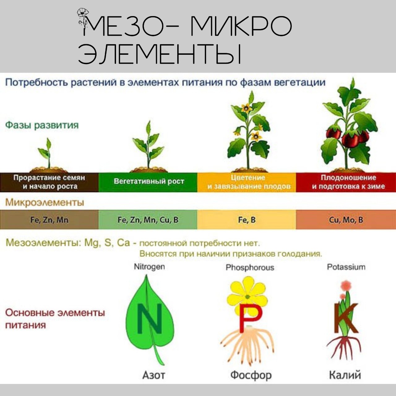 starskara в LOOKY — Часть 2.  Микро и мезо элементы.
Микроэлементы - бор ( B ) ,